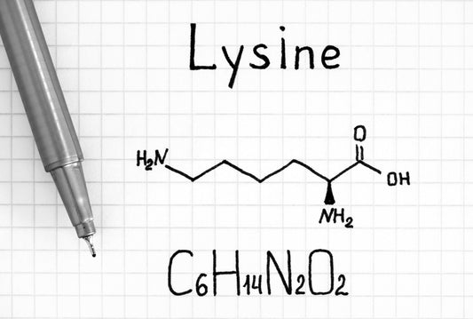 L-Lysin - Warum ist es in der Entspannungs Mischung?